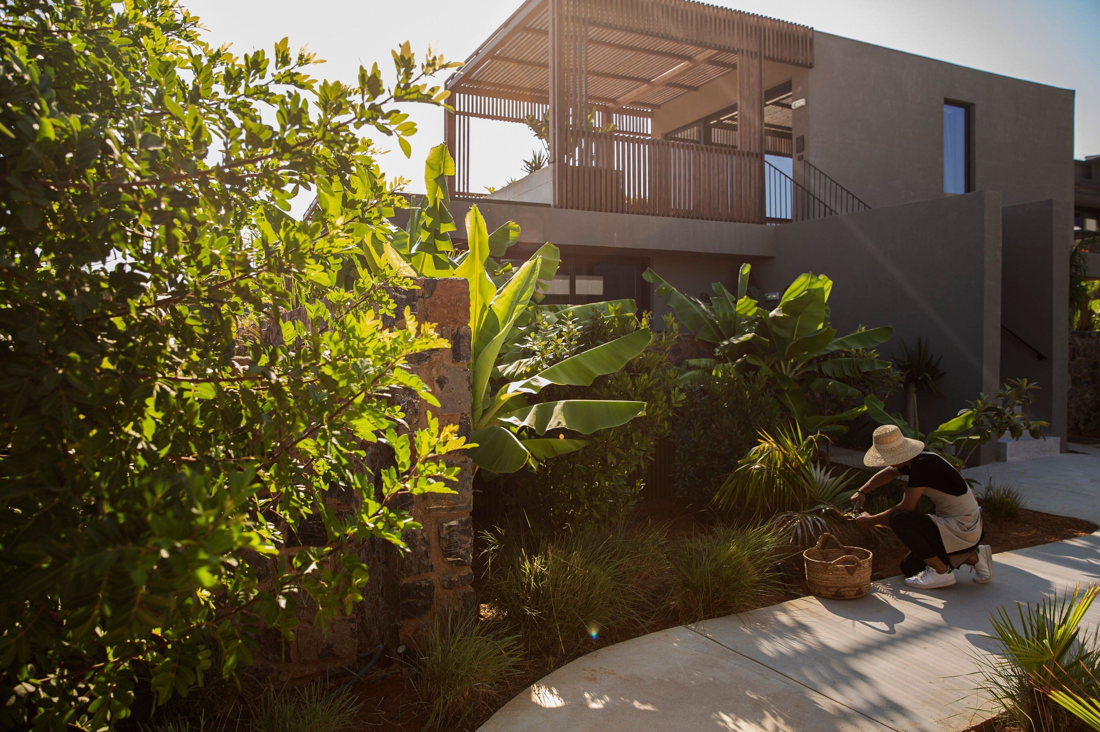 Foto - Domes Zeen Chania, a Luxury Collection Resort, Crete