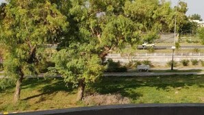 Balcony - Oasis boutique hotel (Islamabad)