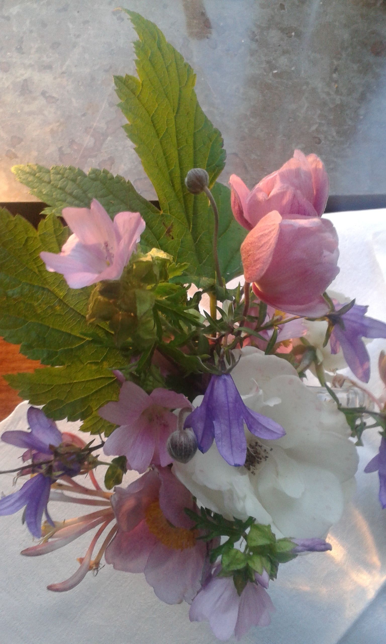 Photo - Kullabygdens Bed & Breakfast Höganäs