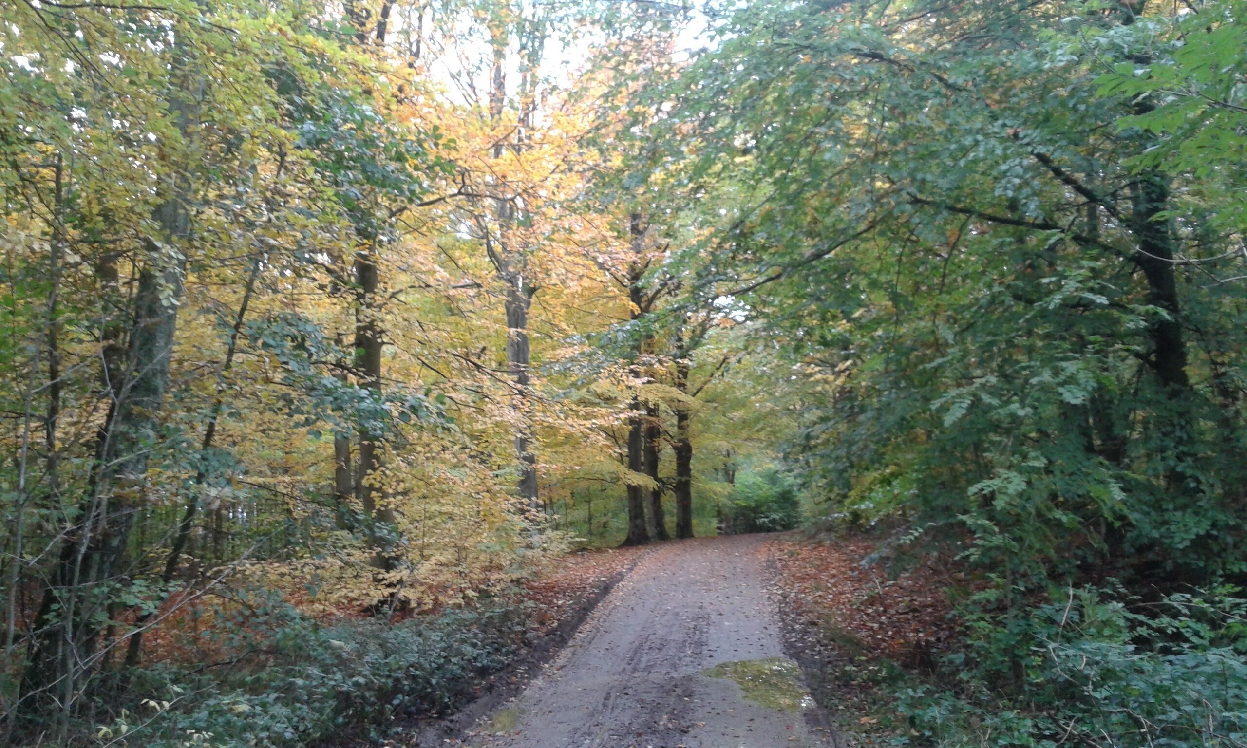 Photo - Kullabygdens Bed & Breakfast Höganäs