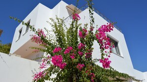 A white building with pink bougainvillea vines. - Melia Sol Art Studios (Chios)