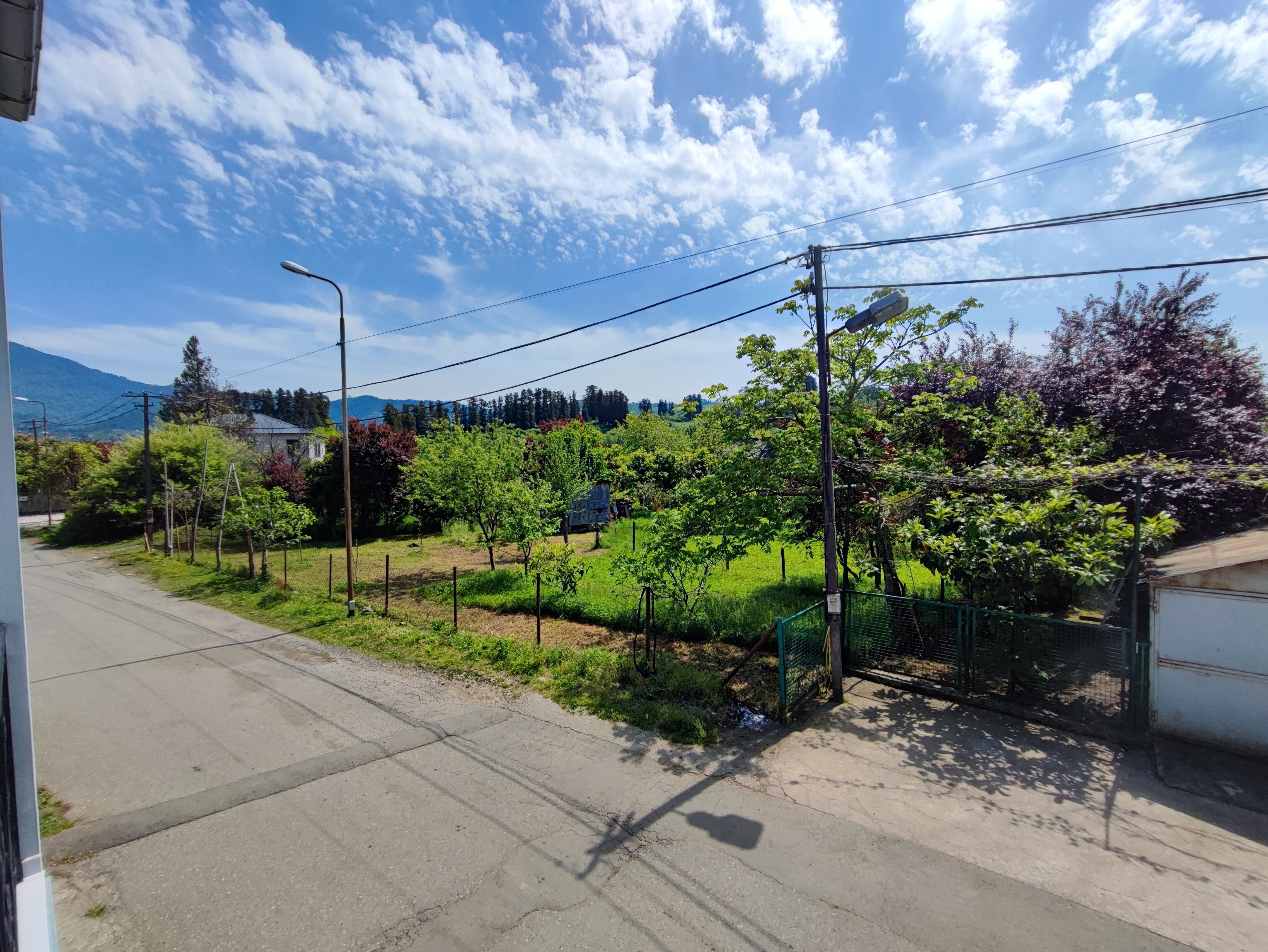 Photo - Hotel Botanica