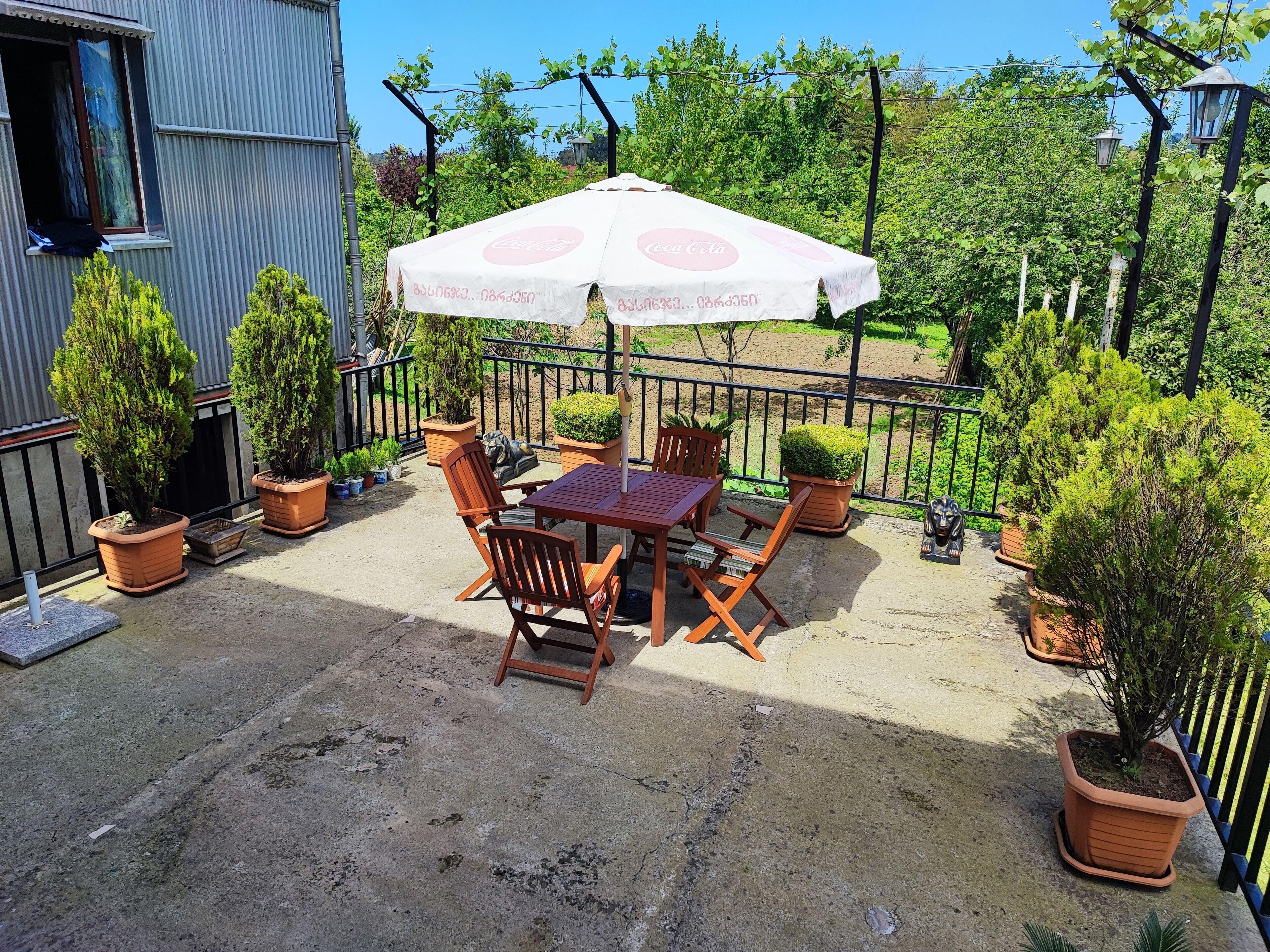 Photo - Hotel Botanica