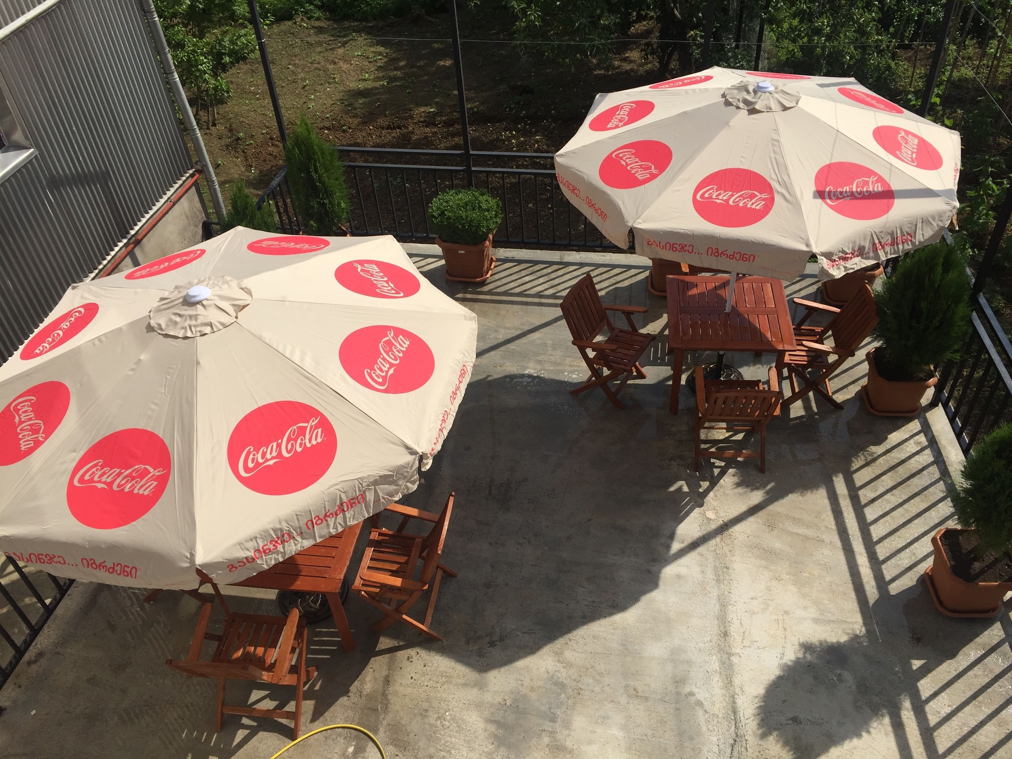 Photo - Hotel Botanica