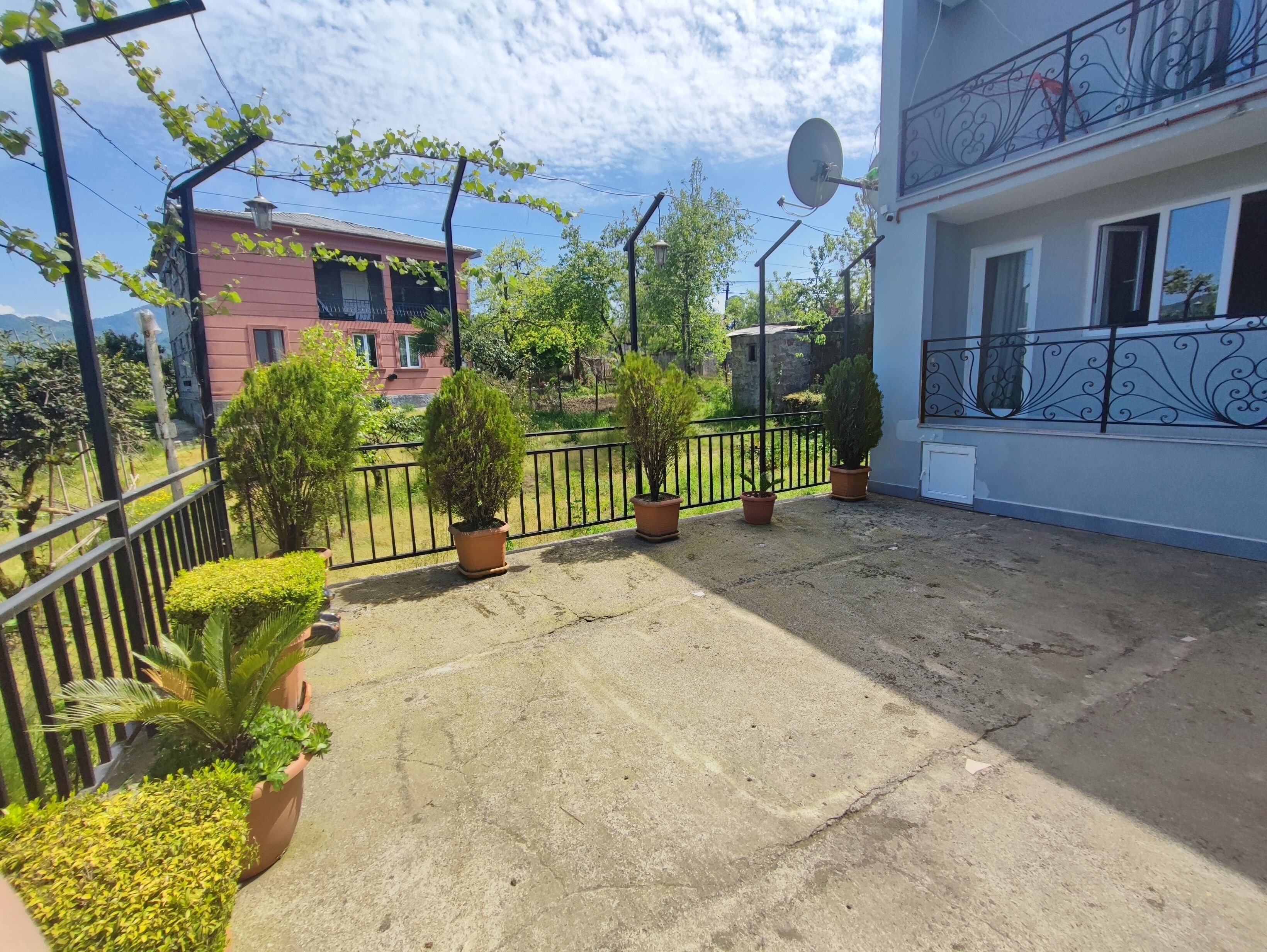 Photo - Hotel Botanica