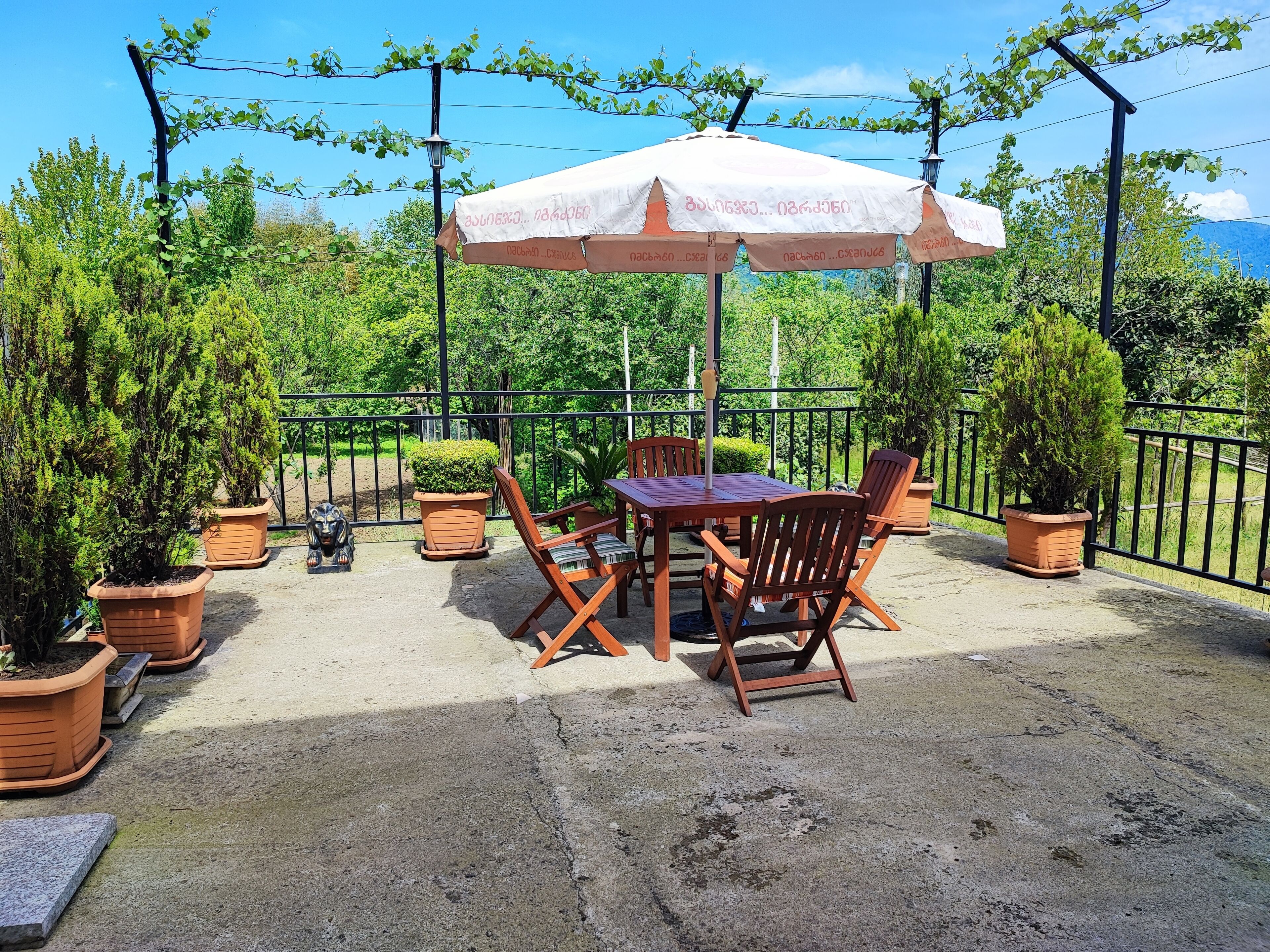 Photo - Hotel Botanica