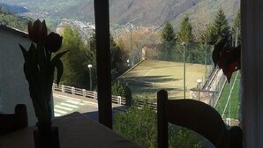 A dining table with a vase of flowers, a plate, and cutlery. A mountain view is visible through large windows. - Albergo Sargas (Cevo)
