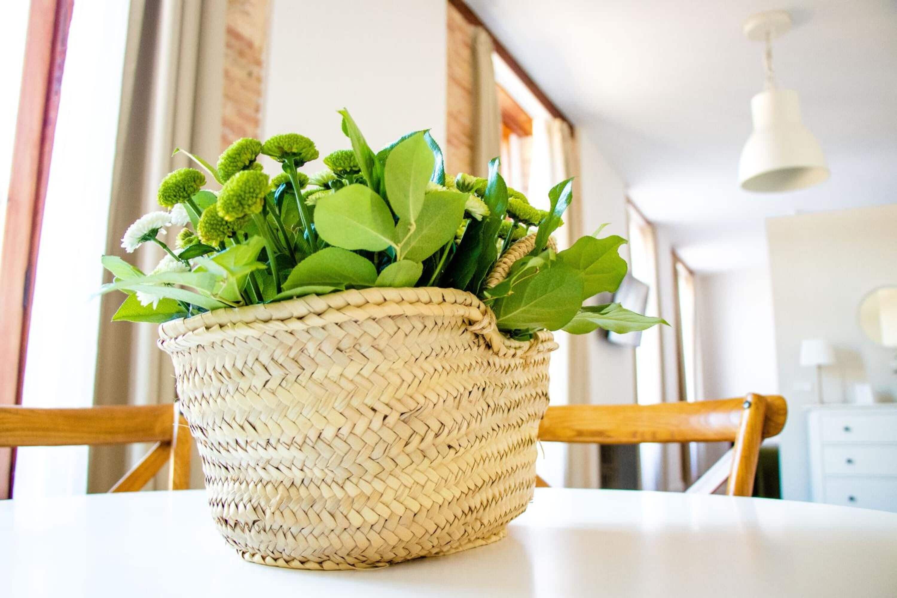 Foto - Casa del Patriarca