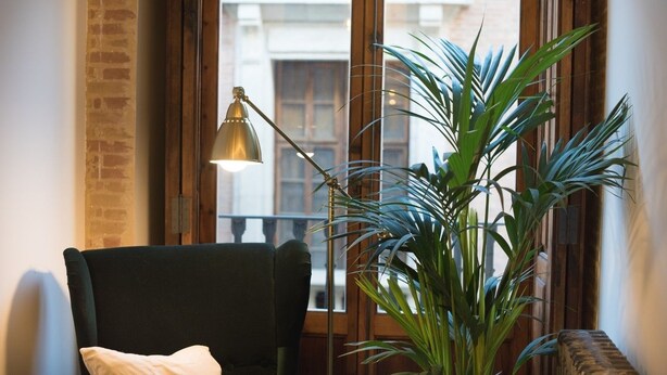 Una habitación con un sillón verde oscuro, un cojín blanco, una planta verde alta y una lámpara de pie.
