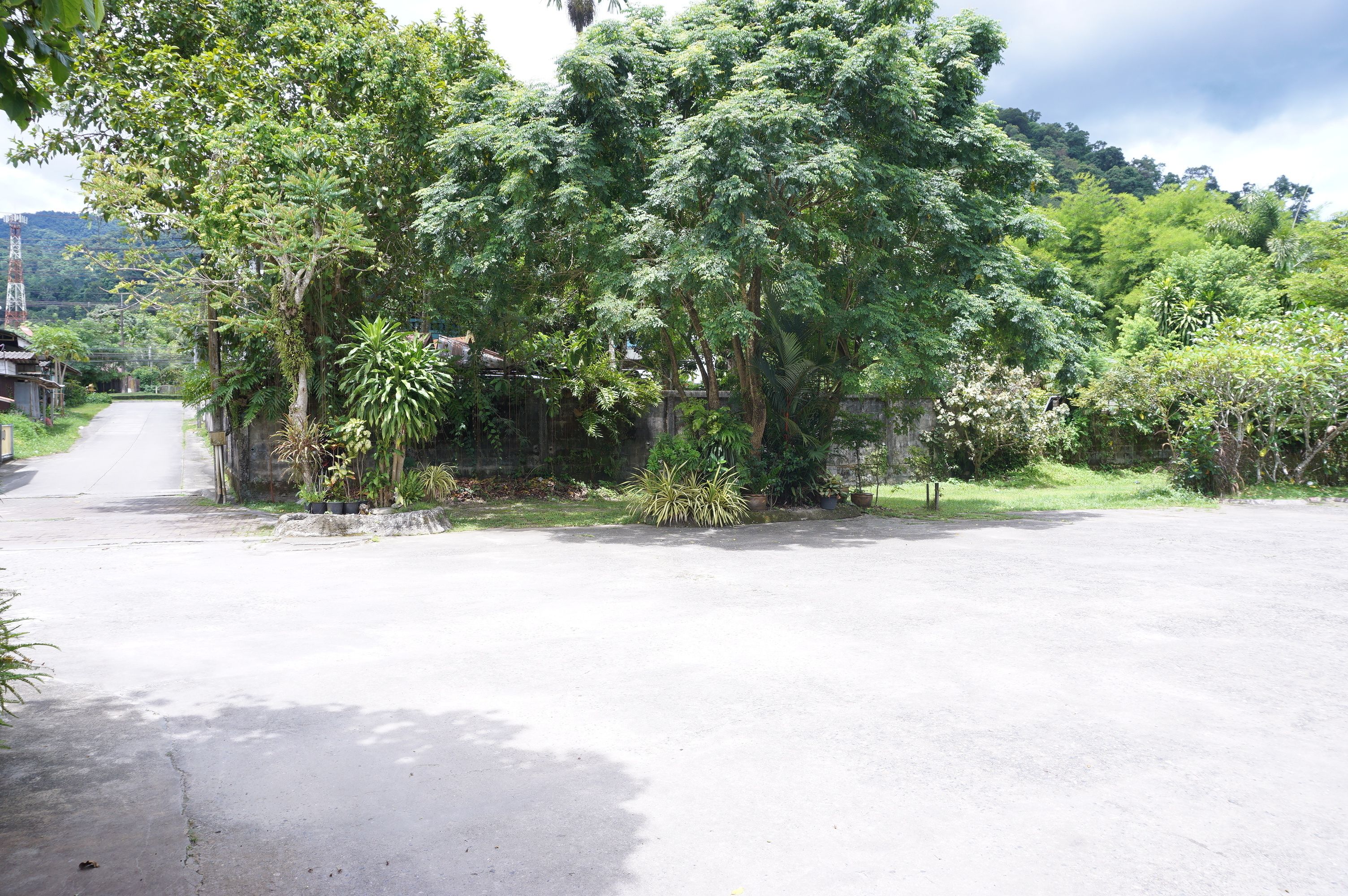A paved road flanked by lush greenery and trees.