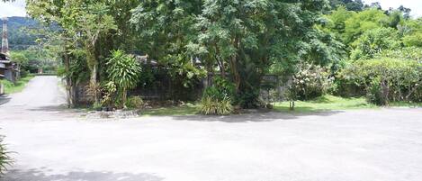 A paved road flanked by lush greenery and trees.
