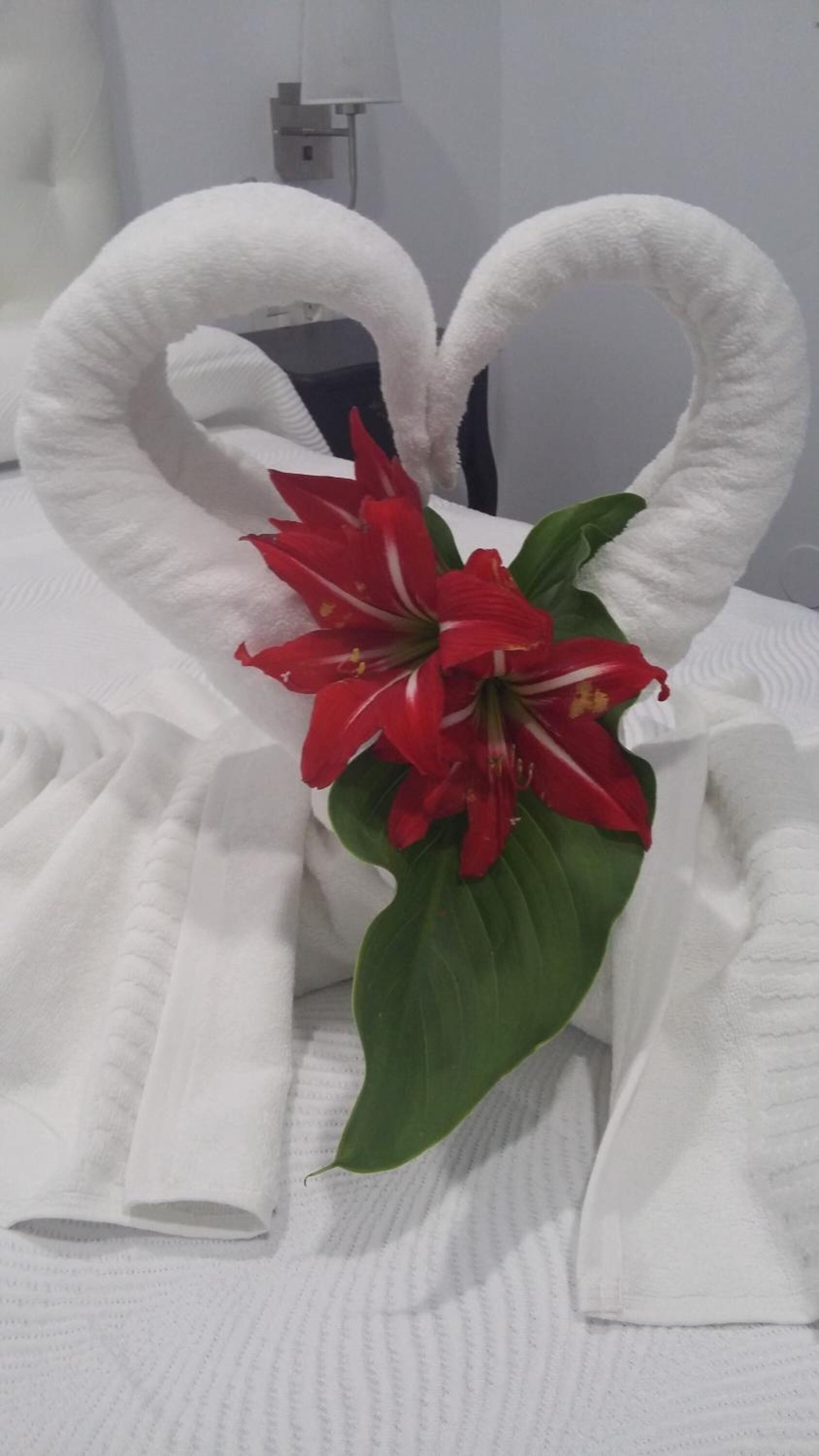 Foto - Hostal Boutique Bajamar