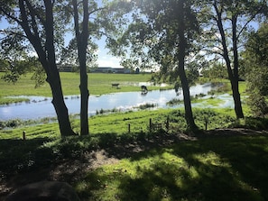 Järvi