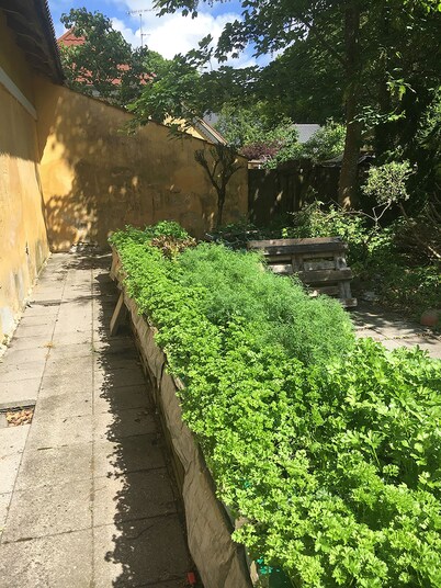 Kongeåkroen