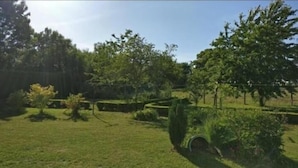 Jardí ben cuidat amb diverses plantes i arbustos, cel serena i zona enjardinada.