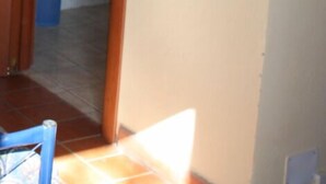샤워 시설, 무료 세면용품, 헤어드라이어, 타월
