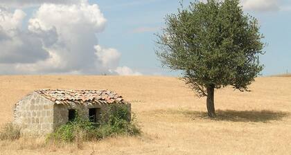 Poggio Del Castagno