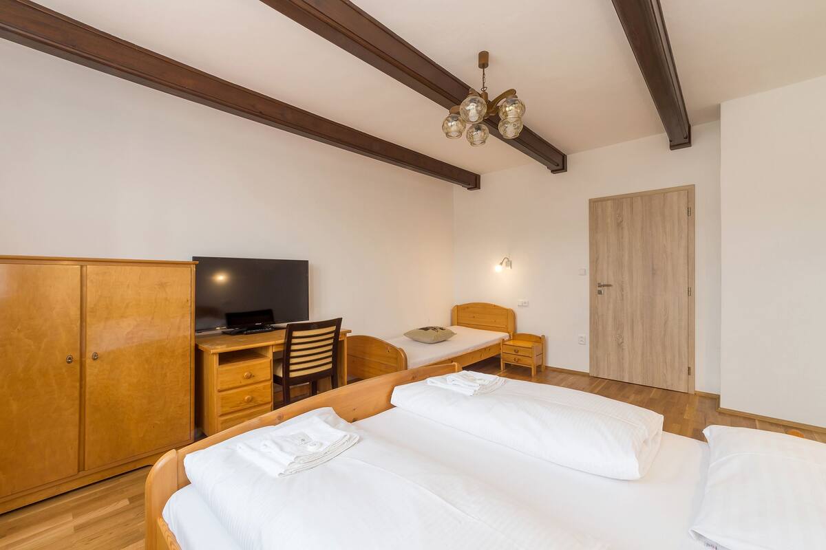 A bedroom with two beds, a desk, a chair, a wardrobe, a television, and a door.