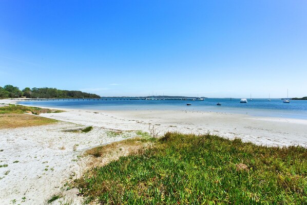 بالقرب من الشاطئ