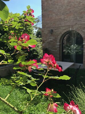 Terrace/patio - La Corte Segreta (Montepulciano)