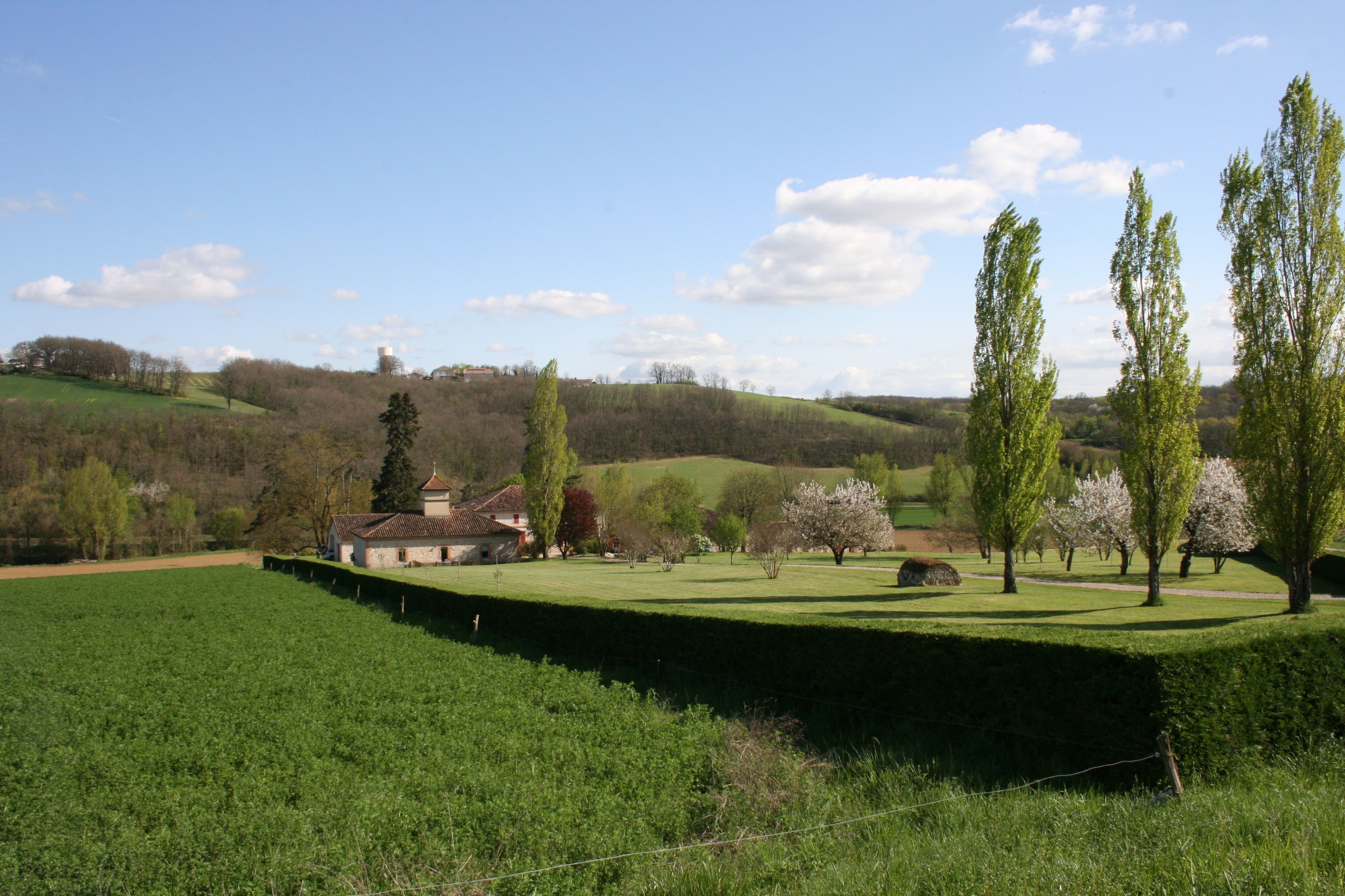 A rural landscape with a house, green fields, and trees.