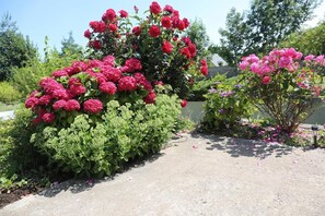 숙박 시설 구내