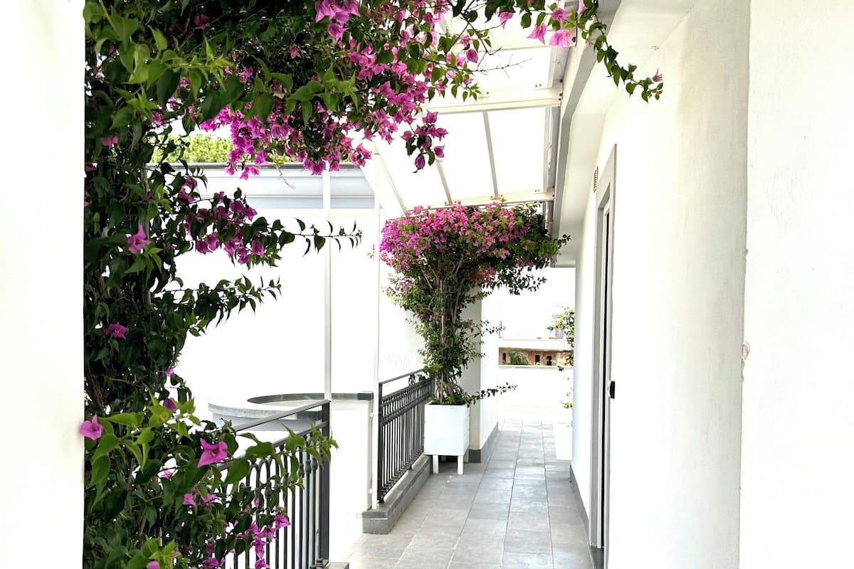 A corridor with a white wall, a potted plant, and a railing.