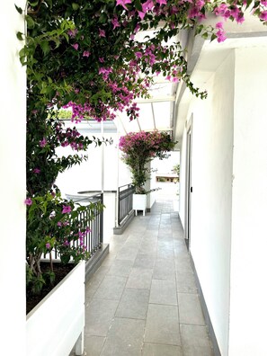 A corridor with a white wall, a potted plant, and a railing. - Il San Cristoforo (Ercolano)