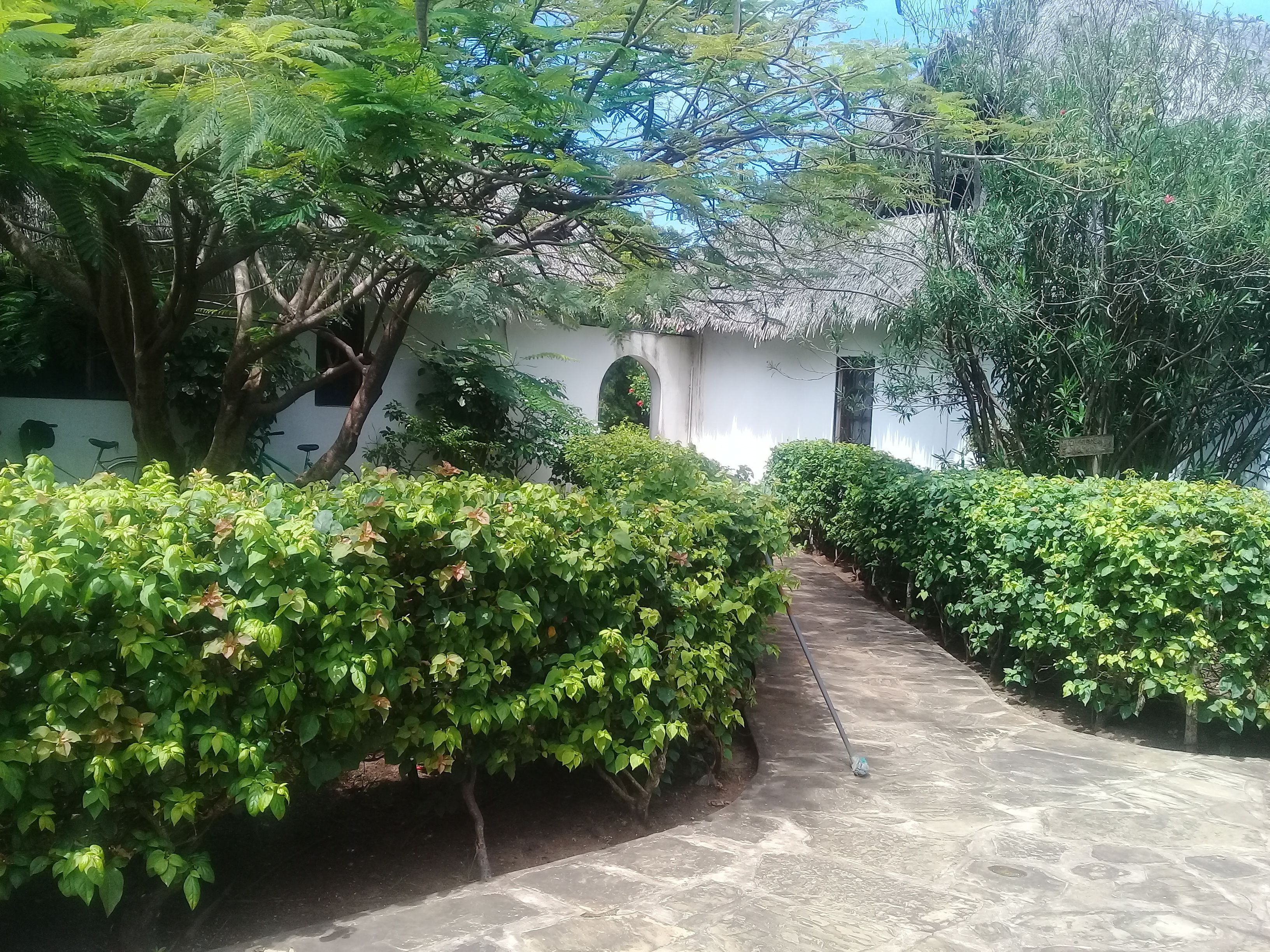 Jardín