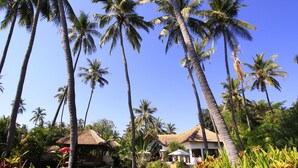 Un complexe hôtelier tropical doté de palmiers, de huttes aux toits de chaume et d’une pelouse bien entretenue.