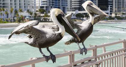 Intracostal Sunny Isles