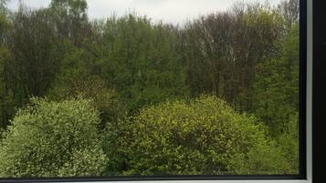 Blick von der Unterkunft