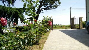 Ein gepflasterter Weg an einem Garten mit blühenden Pflanzen und einem Baum.