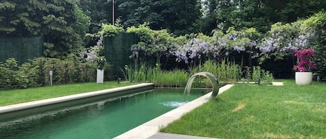 Utendørsbasseng og et naturlig basseng