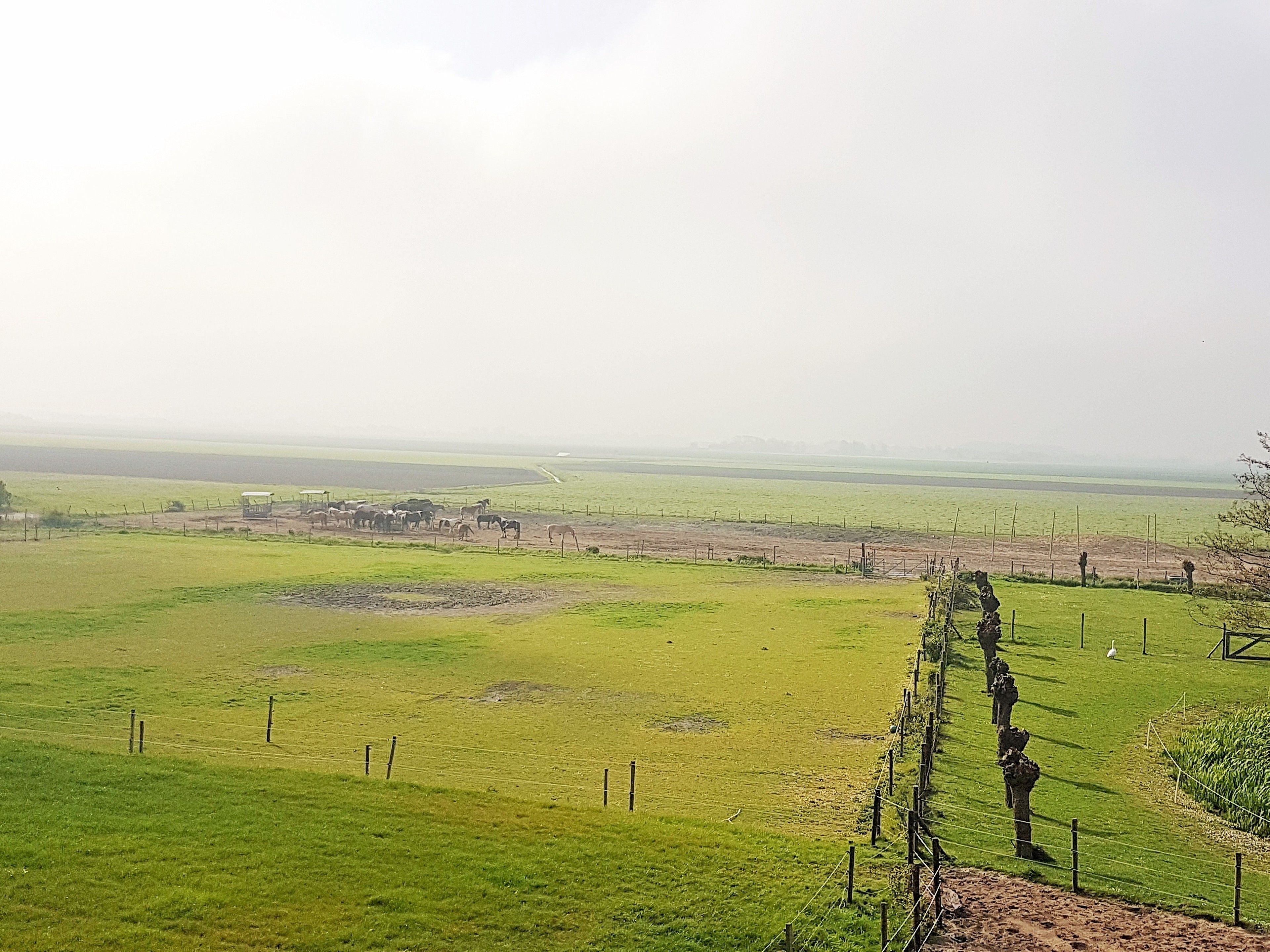 Un paysage rural avec un champ délimité par une clôture, un petit bâtiment et une vue lointaine sur un horizon plat.
