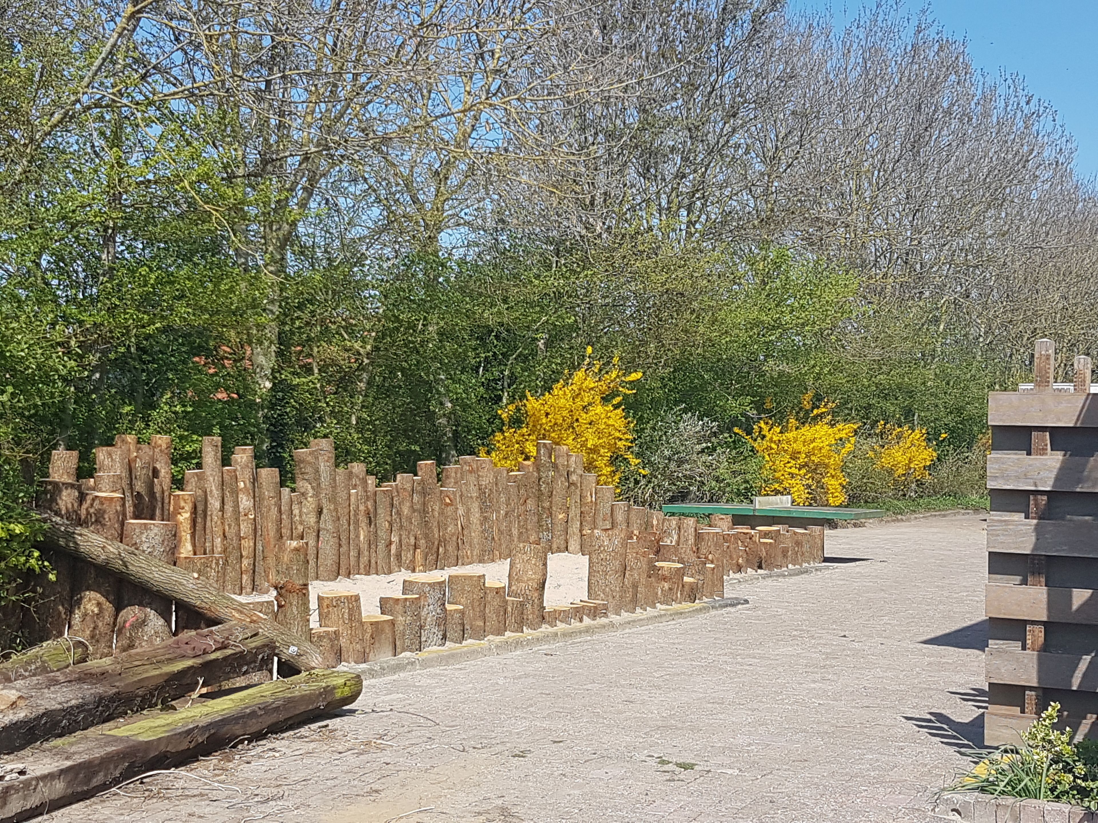 Un camino pavimentado que conduce a una cerca de madera, con un contenedor verde y una pila de tablones.