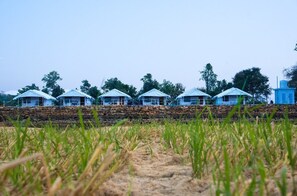 View from property - Padmavati Lake Resort (Chittorgarh)