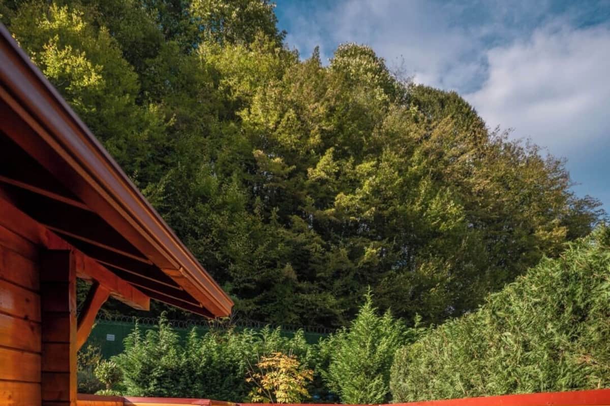 Bungalow – standard, 1 queensize-seng, privat basseng, hageutsikt | Minibar, safe på rommet, lydisolert og strykejern/-brett