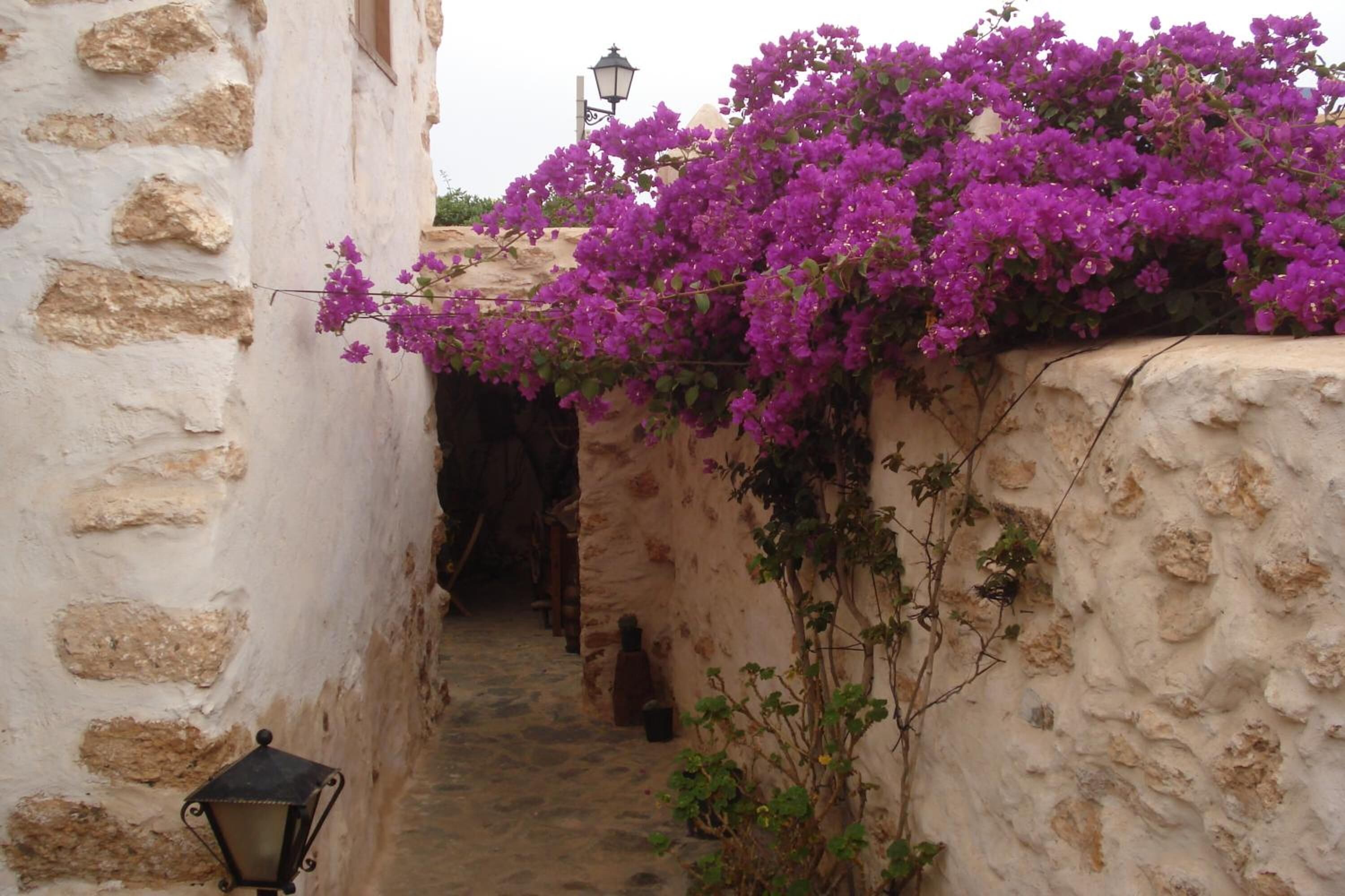 Khuôn viên nơi lưu trú