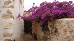 Une ruelle étroite aux murs de pierre, illuminée par une lanterne, et ornée de fleurs de bougainvillier violettes.