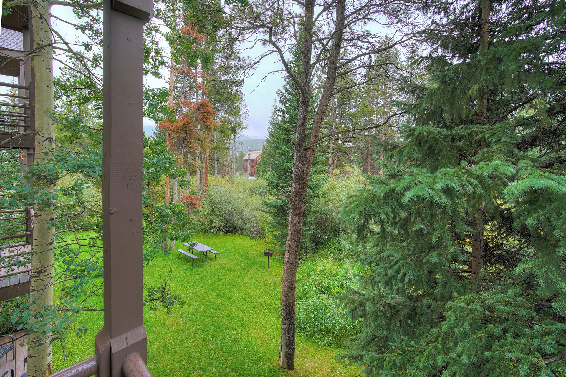 A view of a lush garden with a picnic table and benches, surrounded by tall trees and a building in the background.