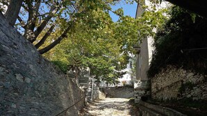 A narrow cobblestone alley flanked by stone walls and trees, leading to a building entrance. - Archontiko Panagoula (Volos)