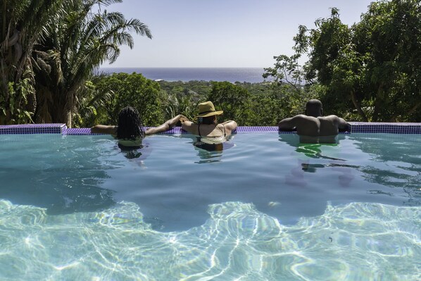A pool with clear water, surrounded by lush greenery and a view of the ocean.