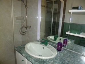 Shower, hair dryer, soap, toilet paper