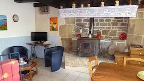 Televisión, chimenea y libros 