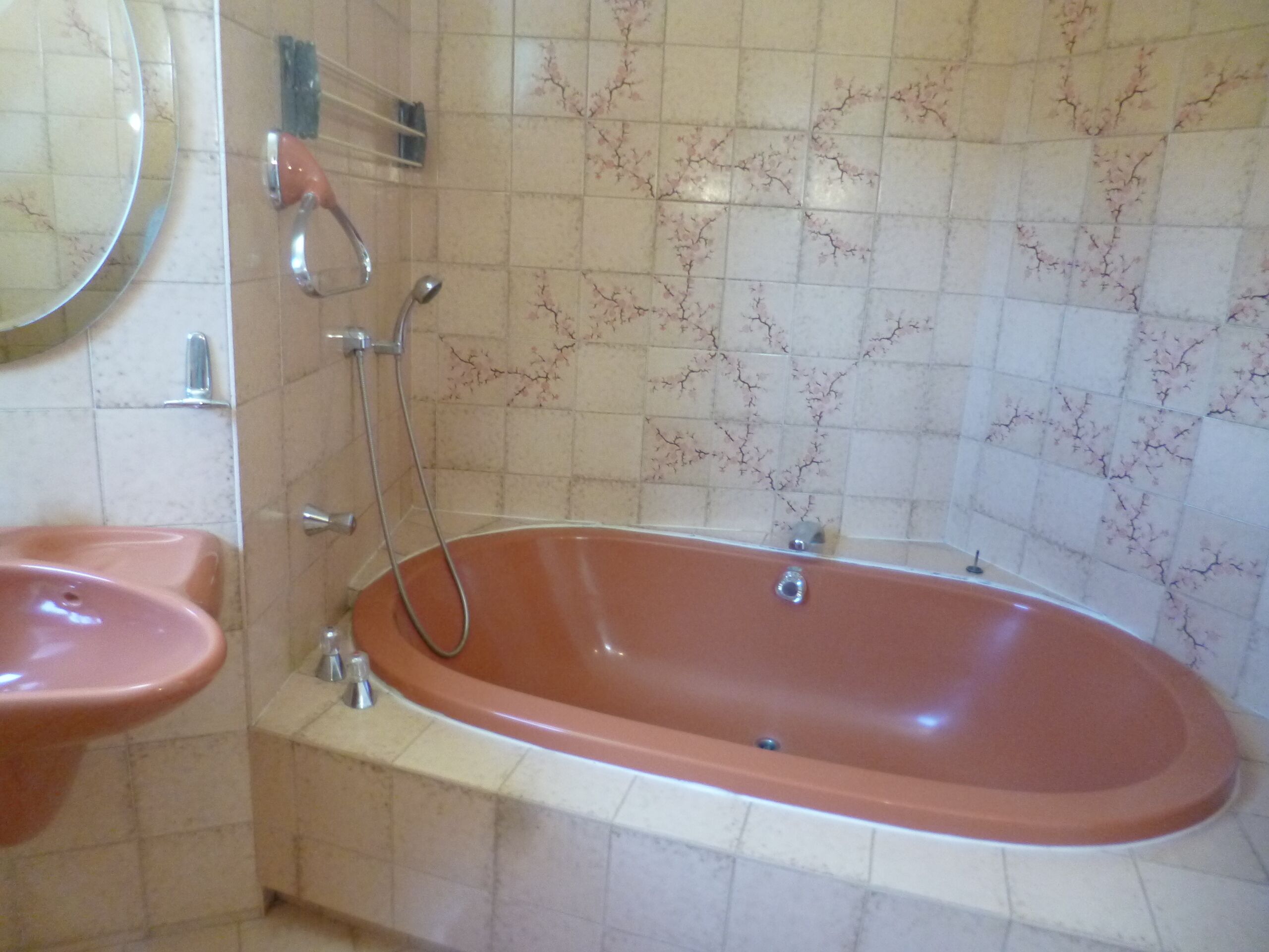 Bathtub, hair dryer, bidet, soap