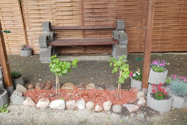 Área de parrilladas y picnic