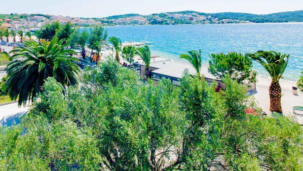 Une zone côtière avec une plage, des palmiers et une vue sur la mer.