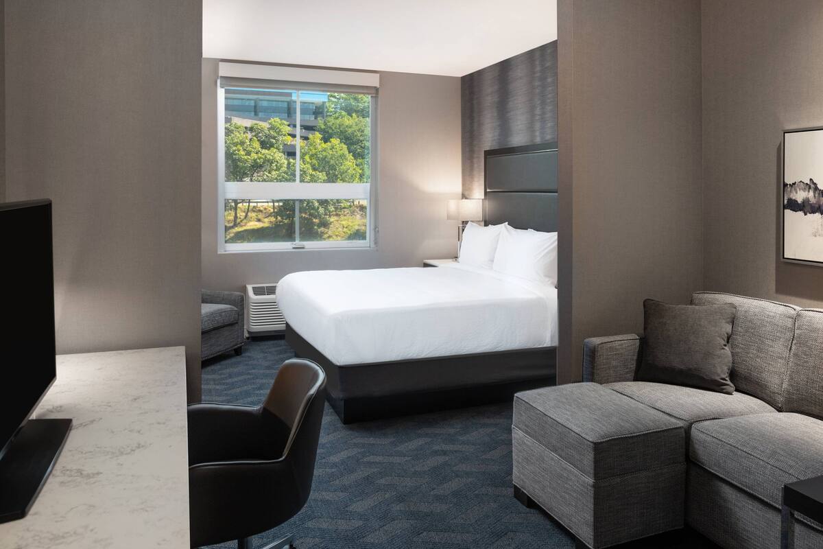 A hotel room with a bed, a desk, a chair, a sofa, and a window with a view of trees.