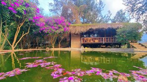 Bungalow 5 | Eget kjøkken | Kokeplater, brødrister, kjøkkenutstyr og krydder